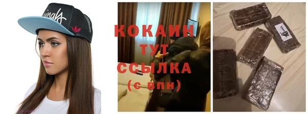 индика Пересвет