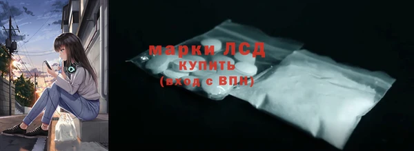 индика Гусев