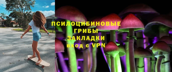 прущий лед Осинники