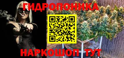 jwh Малгобек