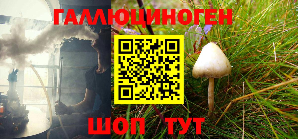 Когалым  Псилоцибиновые грибы GOLDEN TEACHER  Вход с VPN  Галлюциногенные грибы Magic Shrooms 
